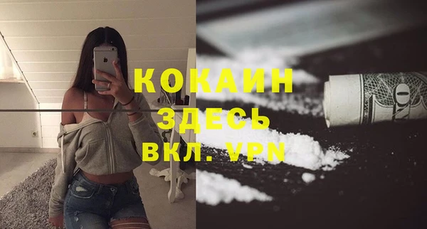 стаф Мегион