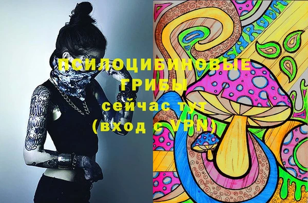 мяу мяу кристалл Медвежьегорск