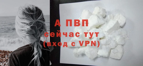 стаф Мегион