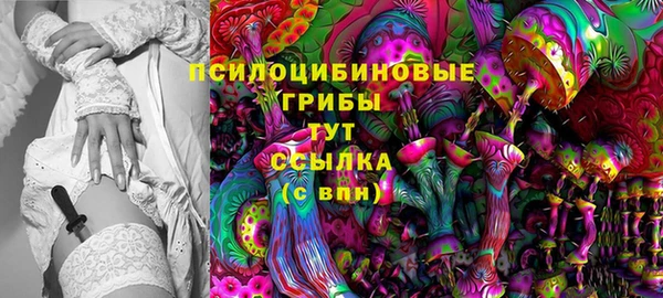 стаф Мегион