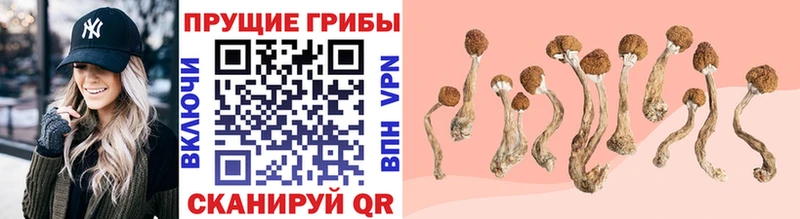 Галлюциногенные грибы ЛСД Тула