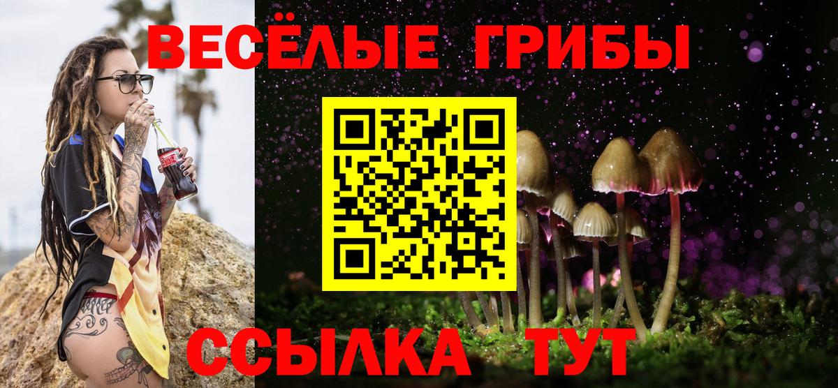 Псилоцибиновые грибы Psilocybe Тула