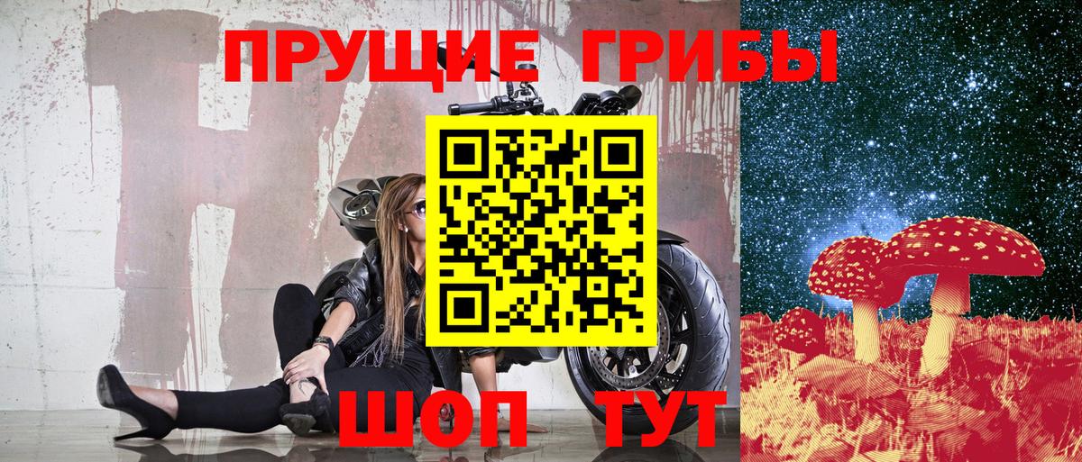 где продают   Псилоцибиновые грибы MAGIC MUSHROOMS  Вход с VPN  Тула 